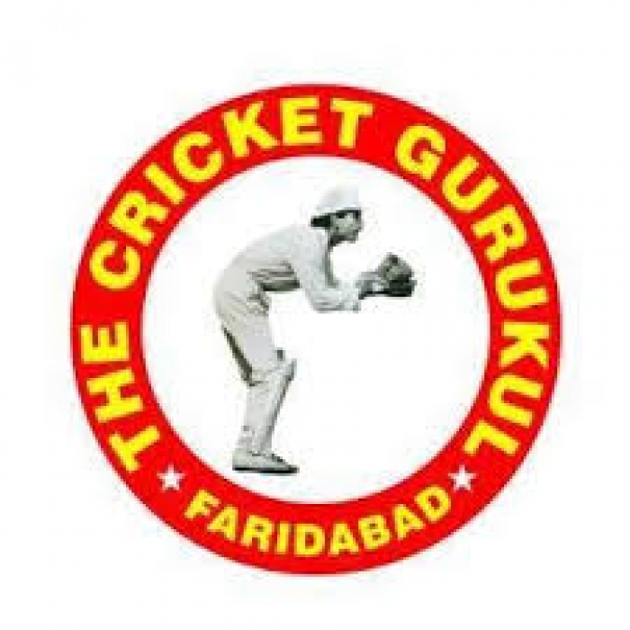 the cricket gurukul, faridabad